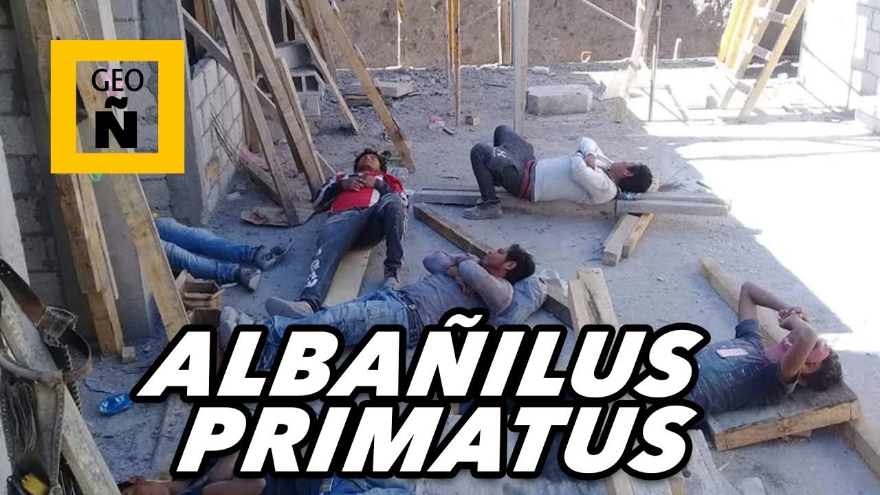 GEOGRAFÍA ÑERA I PRIMATUS ALBAÑILUS I CELEBBRANDO SU DÍA