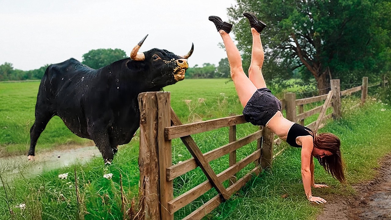 Best Farm Life Fails 🚜🐄 Farm Animal & Tractor Fails