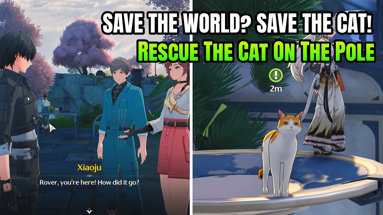Save The World? Save The Cat! - Rescue Cat On The Pole Quest | Wuthering Waves