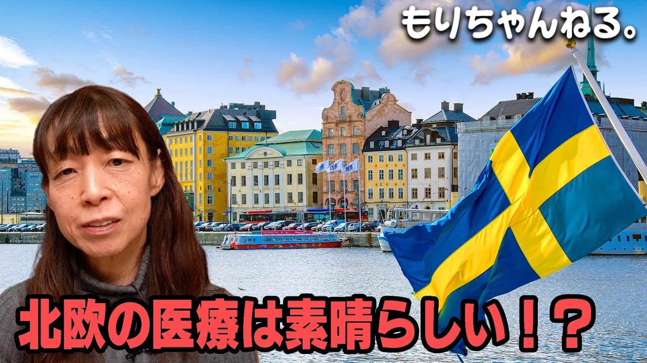 スウェーデン型医療