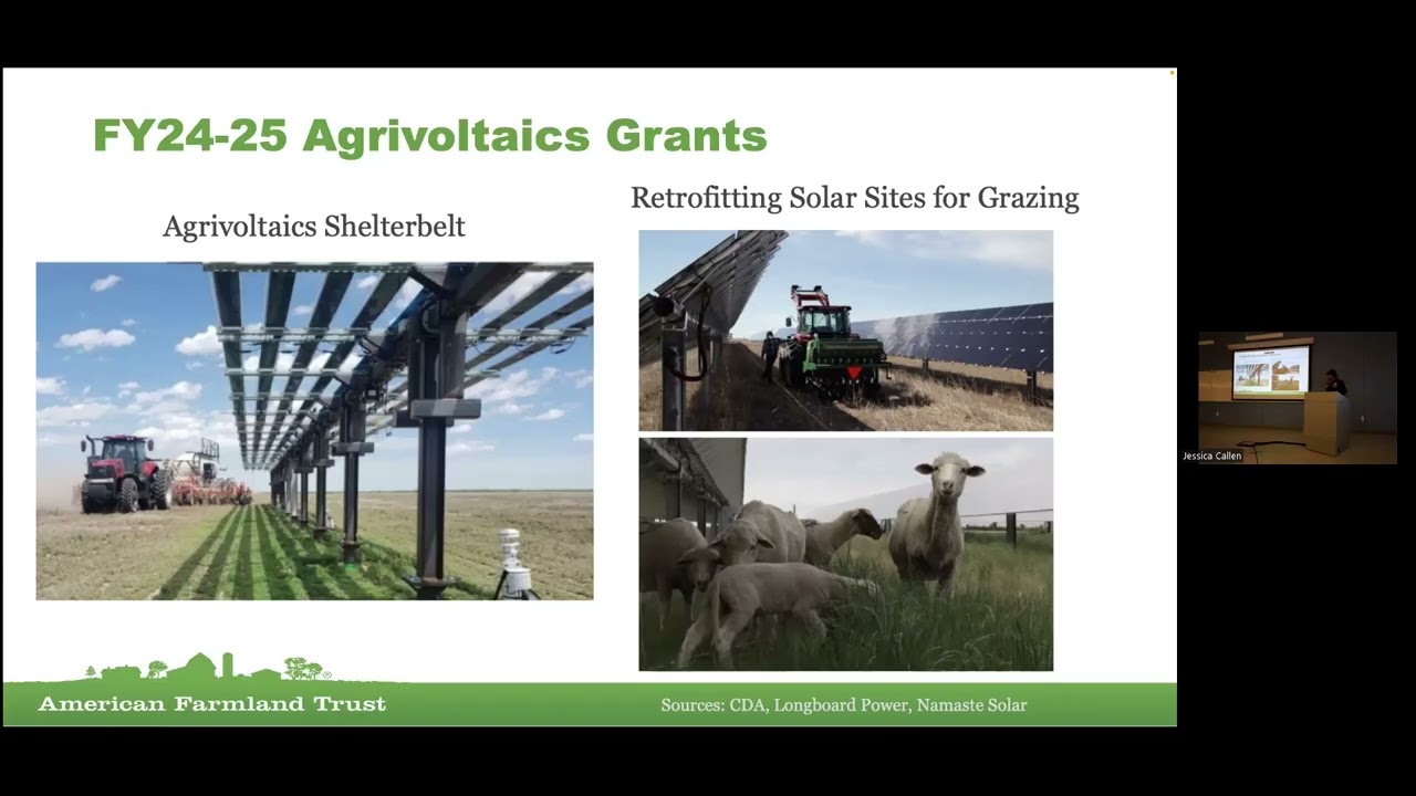 Agrivoltaic Financial and Technical Assistance