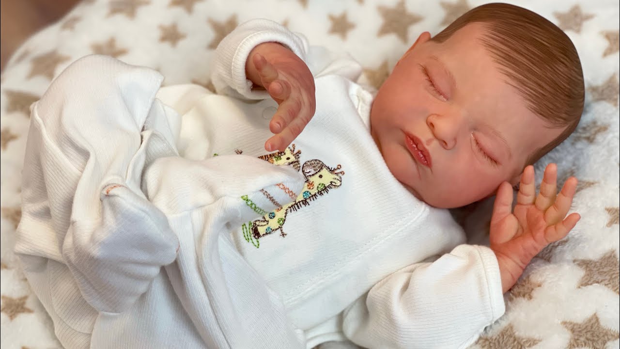 My Family HATES my Reborn Doll Collection!
