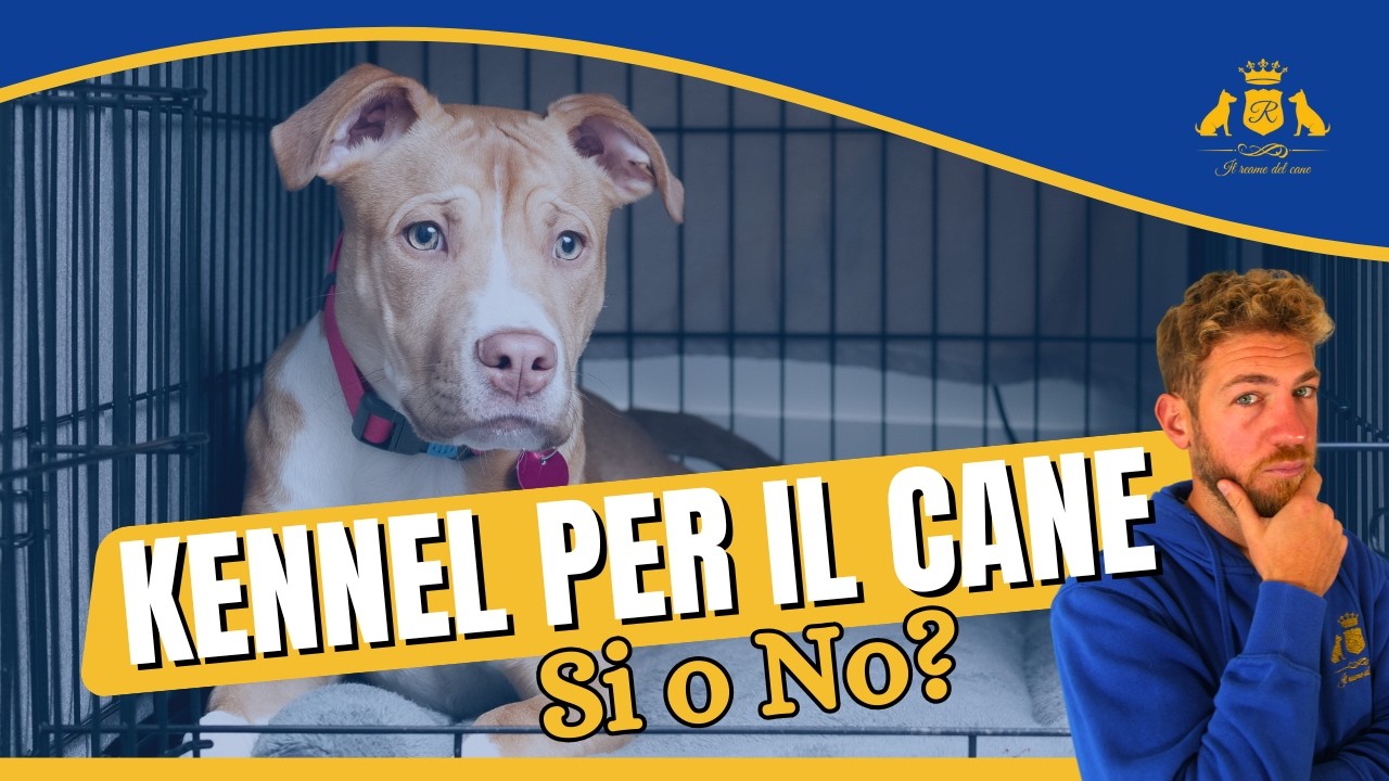 KENNEL SI O NO? Tutto quello che devi sapere!