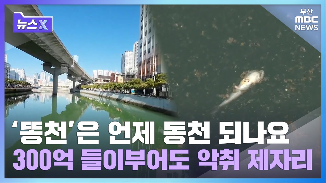 '똥천'은 언제 동천 되나요? 300억 들이부어도 악취 제자리 | 뉴스X