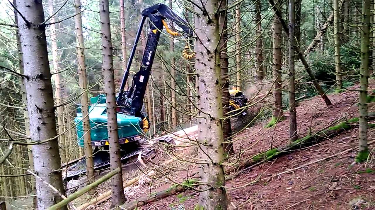 Neuson Ecotec 242 HVT - Auvergne - France