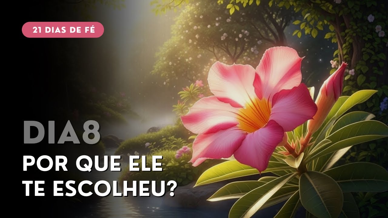 O Segredo do Amor que Se Aproxima na Tua Fraqueza