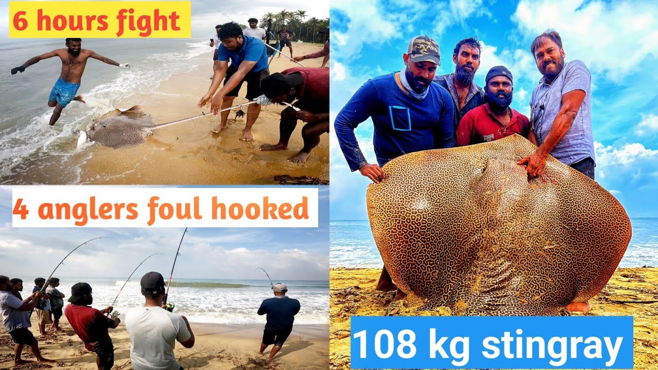 ഒന്നര കിലോമീറ്റർ ഞങ്ങളെ ഓടിച്ച പുള്ളി തിരണ്ടി | stingray fishing @waterman3911