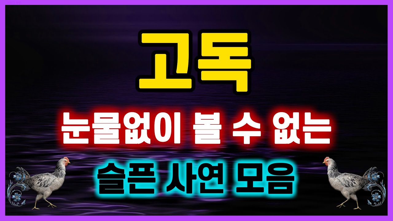 [눈물없이 볼 수 없는 슬픈 사연모음] 역대급 레전드 슬픈이야기 썰닭 추천 사연 모아보기 이별 감동 실화이야기.. 네이트판 신청사연 라디오드라마 결시친 오늘의 반전 막장실화사연