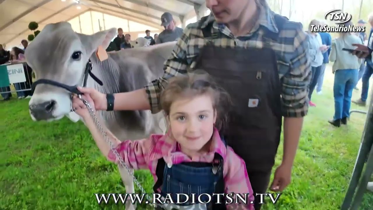 TG Mercoledì 18.03.2026