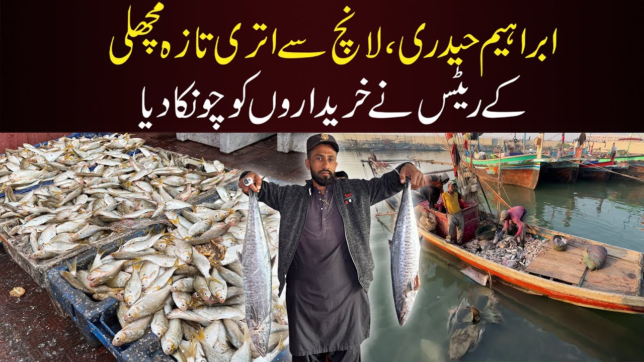 Fresh Fish Rates Shock Buyers at Ibrahim Haidri Market”