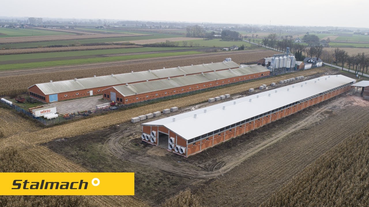 Stalmach - Budowa Kurnika, ferma drobiu 155 x 19 x 7m