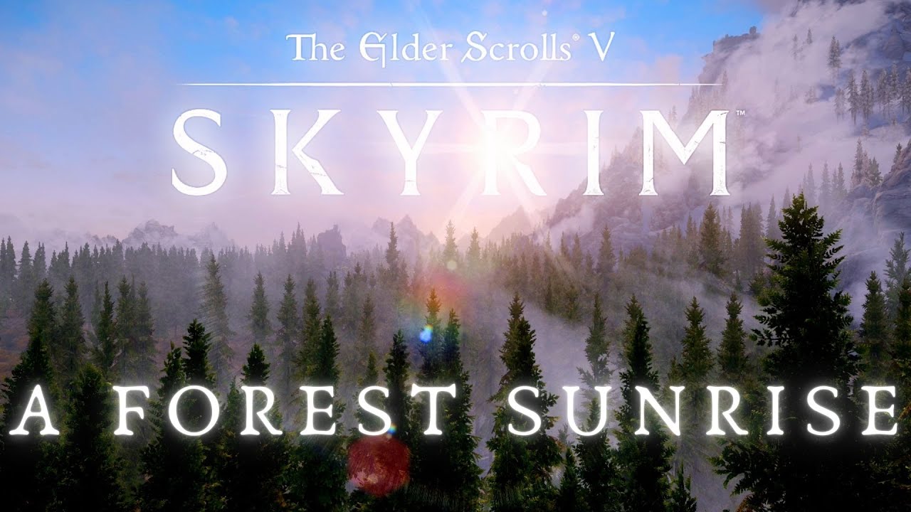 Skyrim SE Ambient Music & Atmosphere | Ultra Modded | Sunrise Over The Great Whiterun Forest