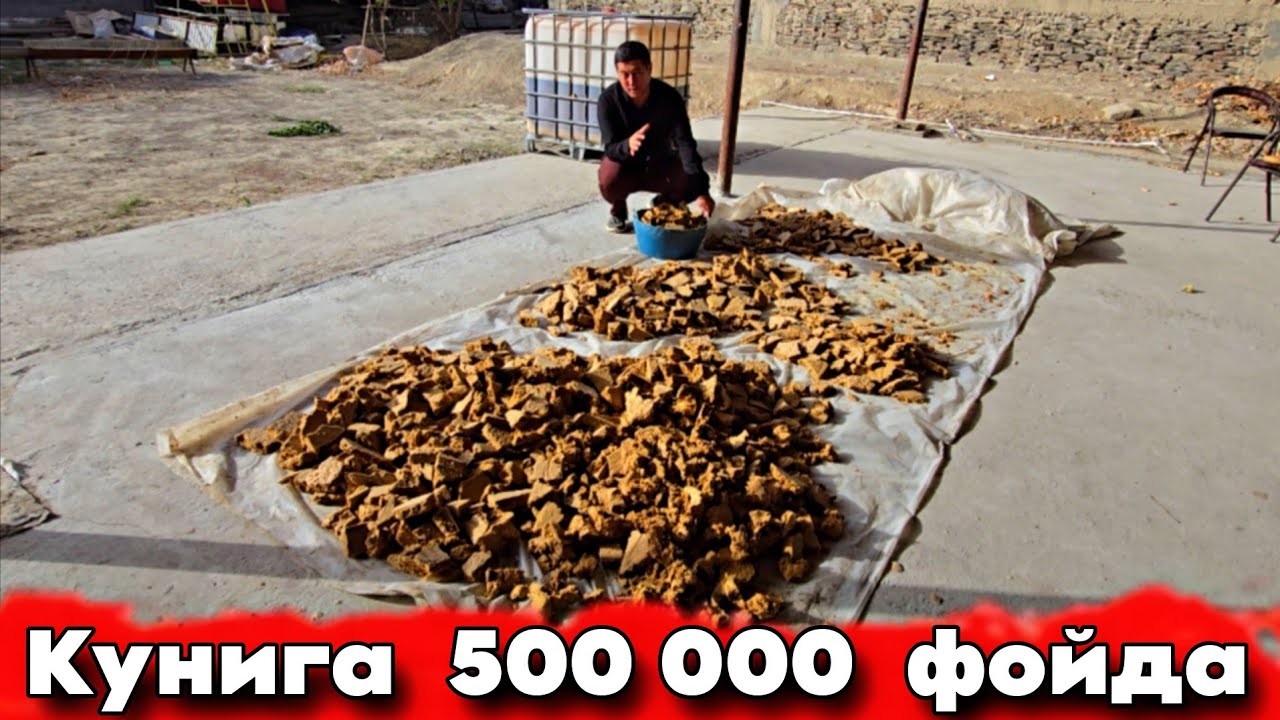 УЗБЕКИСТОН  ЯНГИЛИК  ХАММА  СЕКРЕТИНИ  АЙТИШАДИ. Кунига 50 $  фойда 