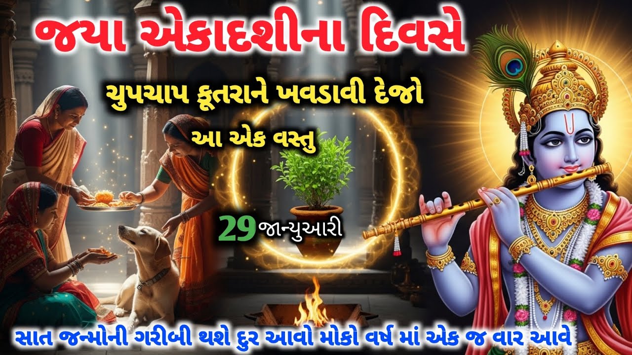 29 જાન્યુઆરી એકાદશીના દિવસે આ ઉપાય કરવાથી તમારૂ ભાગ્ય જમકી જશે #ekadashi #2026 #ekadashiupay 