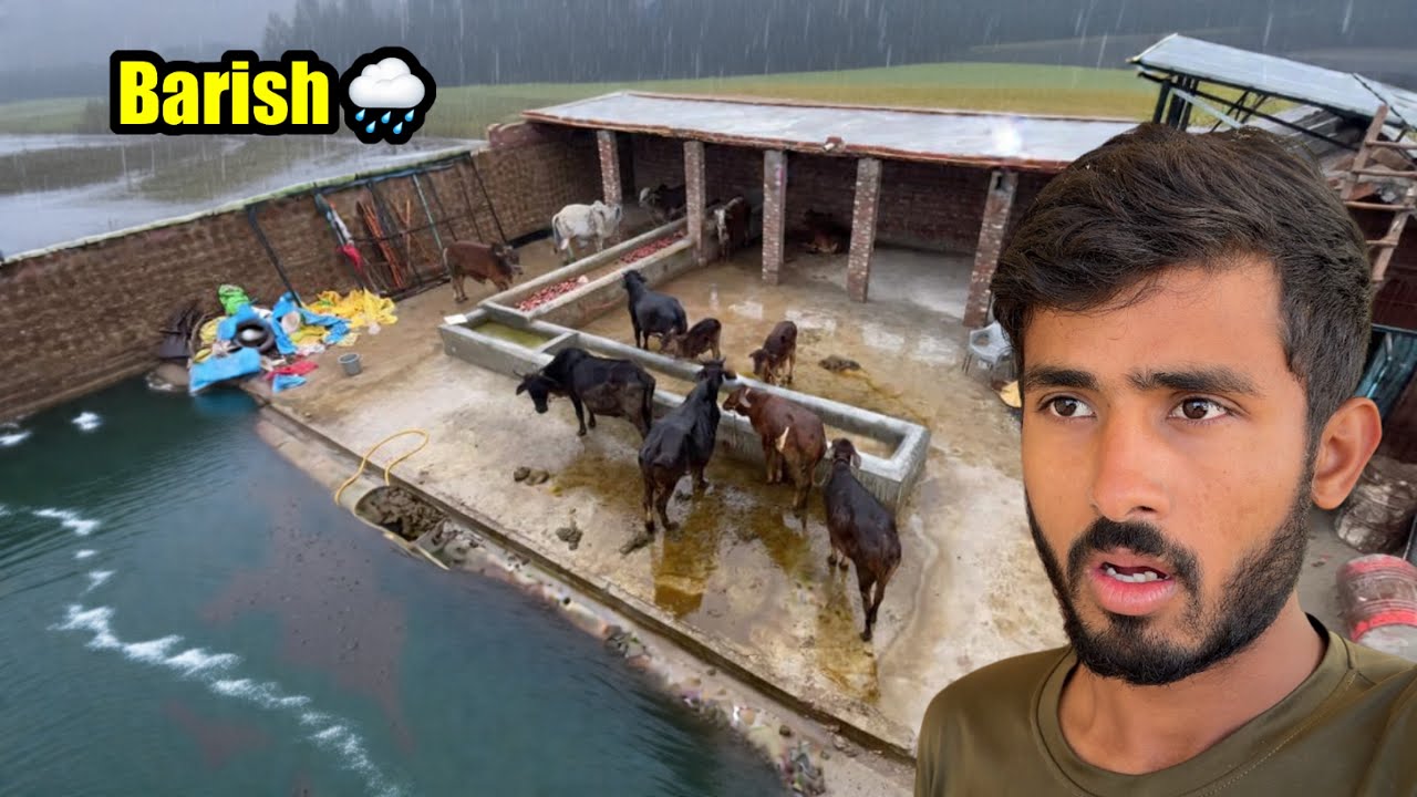 Barish 🌧️ Main Phas Gaye 😱 Heavy Rain Today ☔️ 