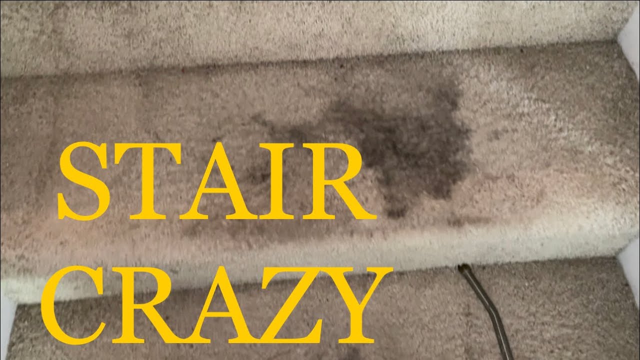 Extreme Stair Scrubbing, Cleaning and Upholstery