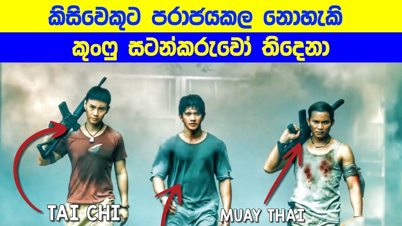 කිසිවෙකුට පරාජයකල නොහැකි කුංෆු සටන්කරුවෝ තිදෙනා Movie Explained in Sinhala | Sinhala TVcaps