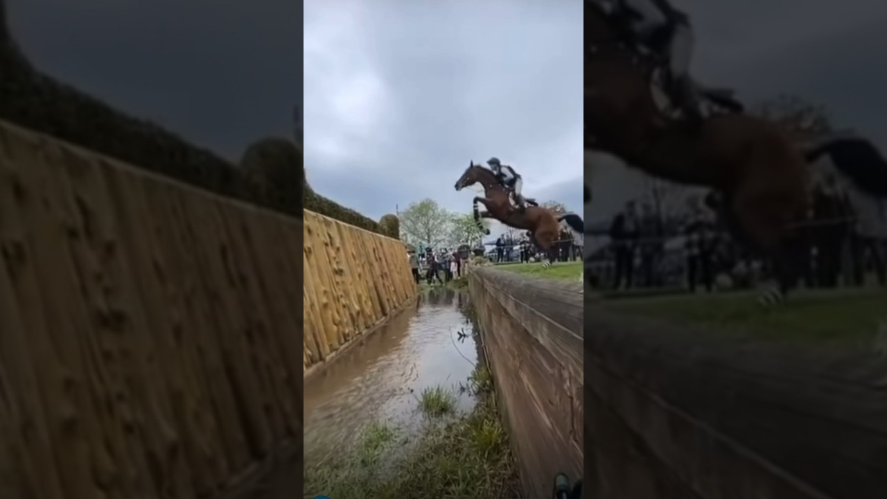 EXTREME CROSS COUNTRY JUMP!! #horses #equestrian #trending #cantering #showjumpinghorse