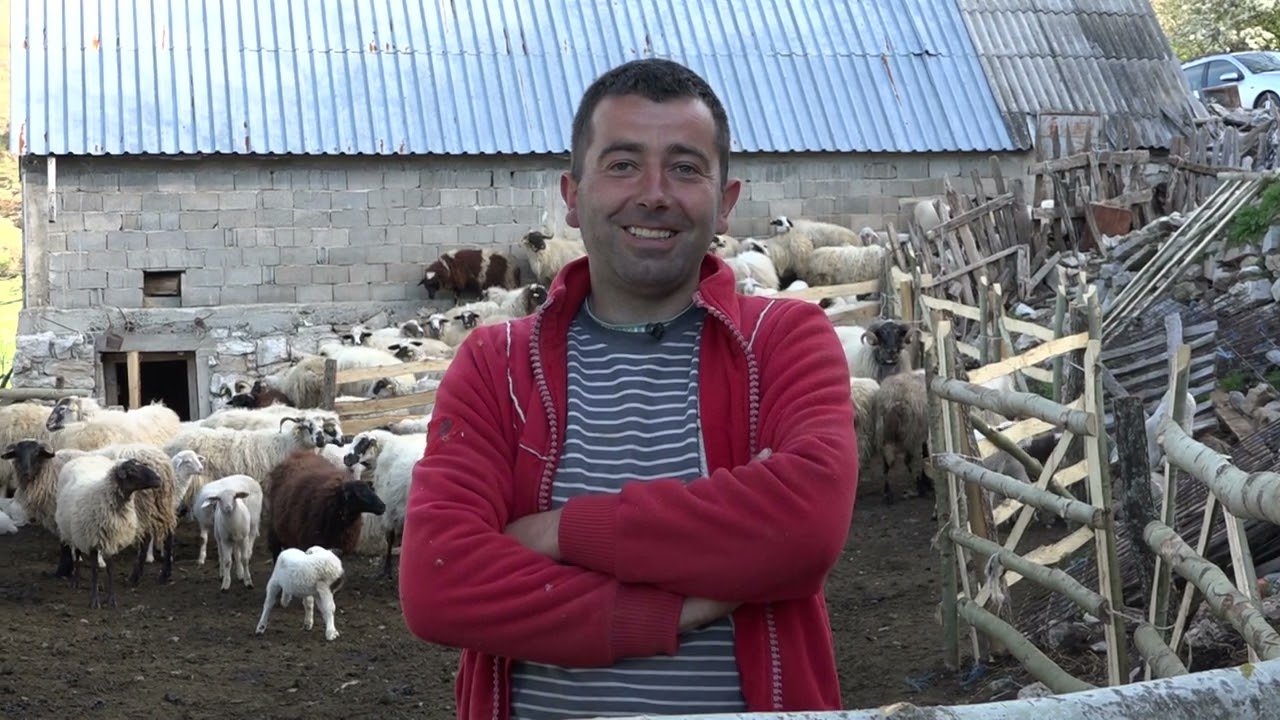 STOPAMA PREDAKA: U Goliji nema jedna đavolja đevojka