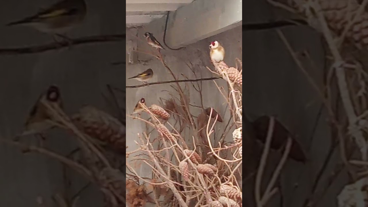 متعةالخالق في ملكه مشاء الله تبارك الرحمن واليرحم الوالدين يارب بتوفيق للجميع.