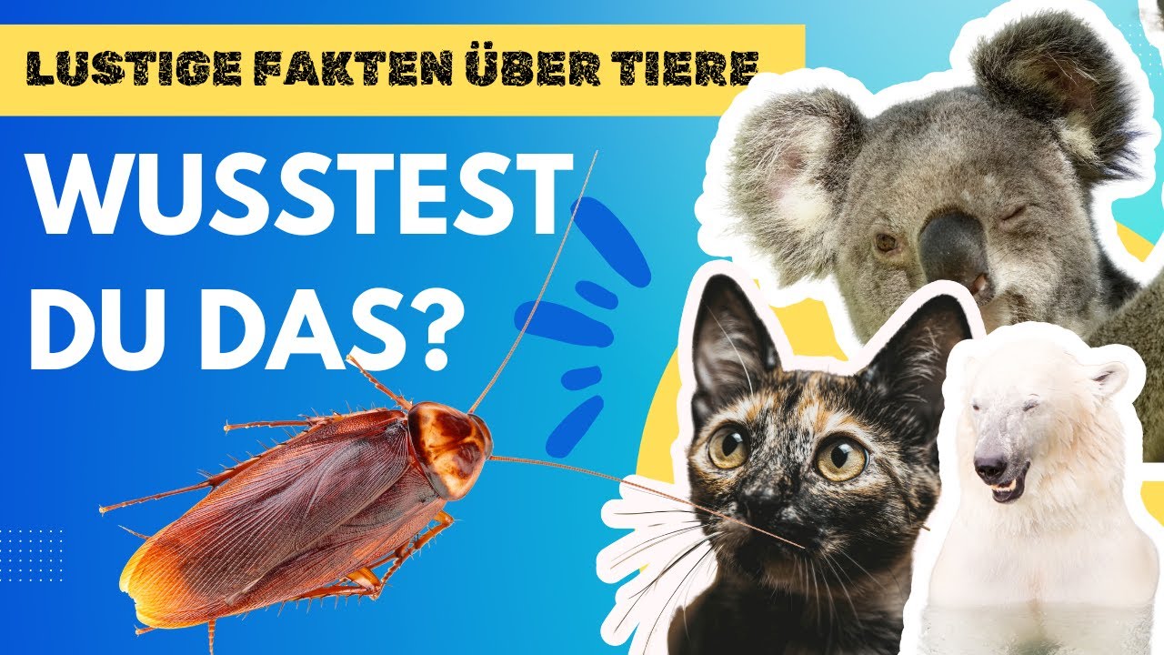 Lustige Fakten &uuml;ber Tiere &ndash; Wusstest du das?