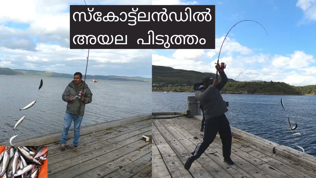 How to fish Mackerel, UK Malayalam Fishing Video - സ്കോട്ട്ലൻഡിൽ  അയല  പിടുത്തം | TNT malayalam vlog