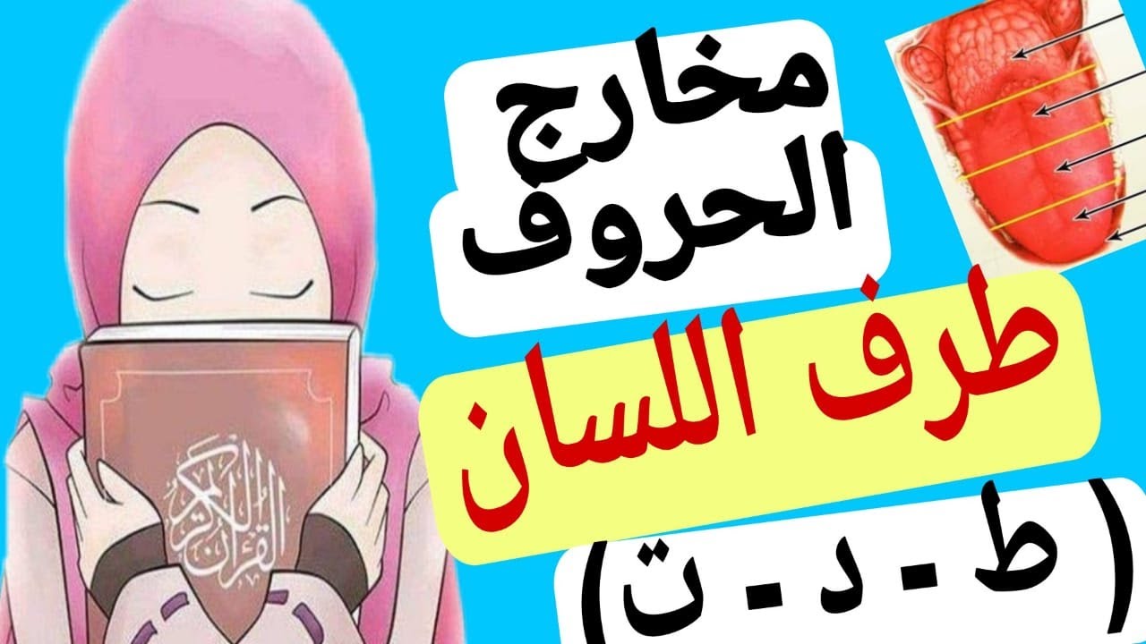 مخرج الطاء و الدال و التاء - طرف اللسان - د لمياء فؤاد