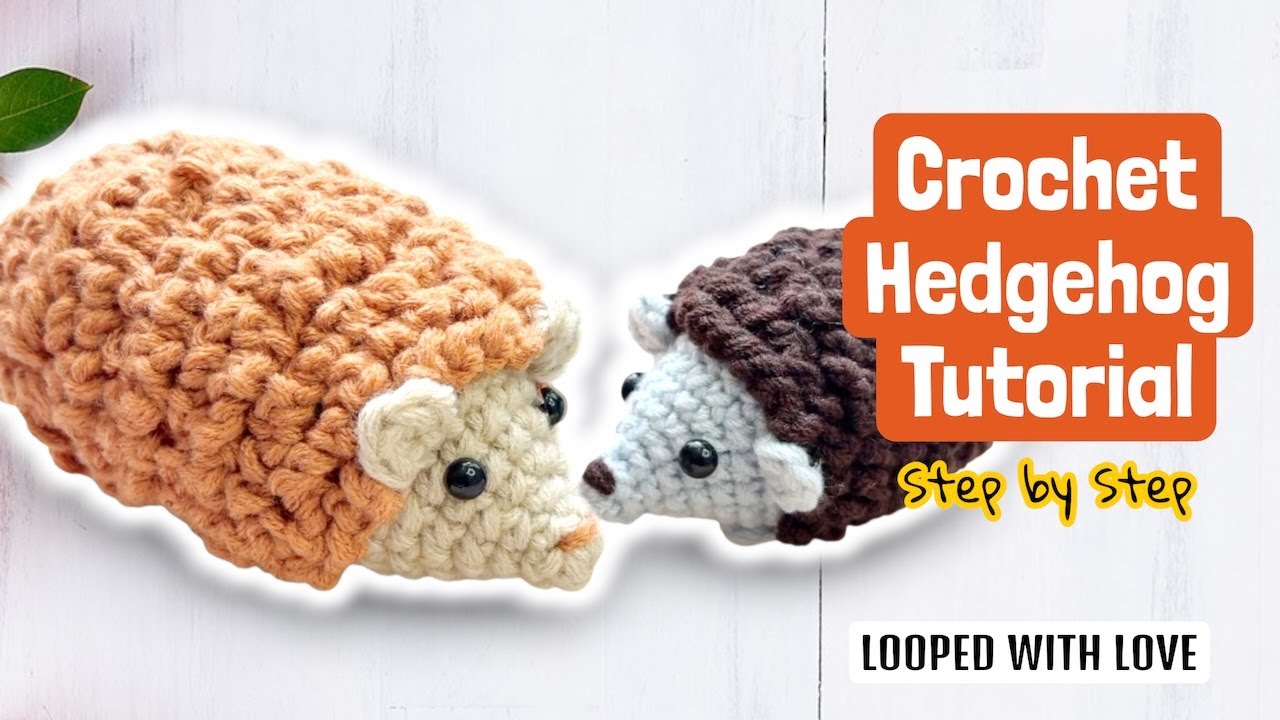 Crochet Hedgehog Tutorial (2025) 🦔 | Beginner friendly 