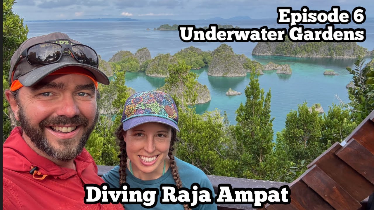 Majesty | Melissa's Garden, Batu Rufus, Geosite Piaynemo | Ilike Liveaboard | Diving Raja Ampat Ep 6