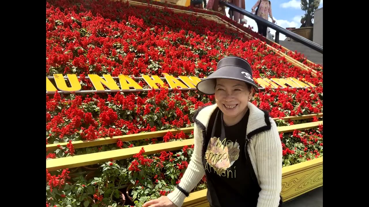 All pictures 2026 in vietnam