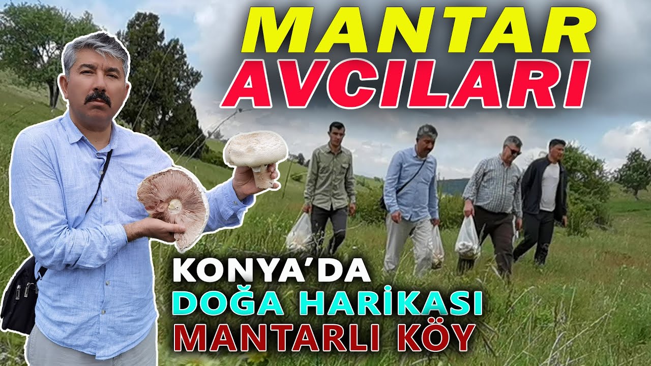 Dağ Taş Mantar Kaynıyor | Konya Yatağan Köyü Gezisi ve Mantar Toplama | #köy #gezi #konya #village 