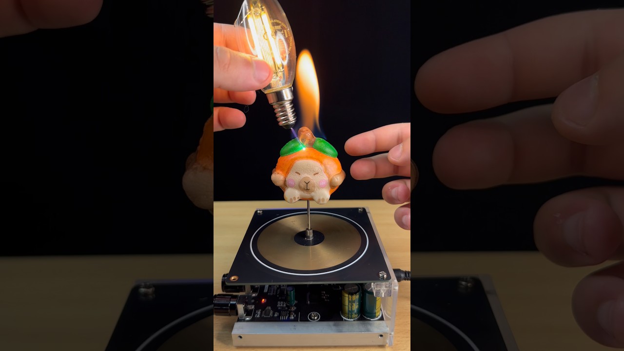 Music Tesla Coil experiment😱 🦫⚡️#experiment #lightning #fire #shorts