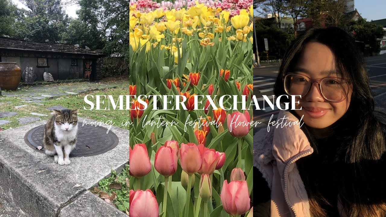 semester exchange: moving in, shopping, lantern festival, flower festival | uni vlog 