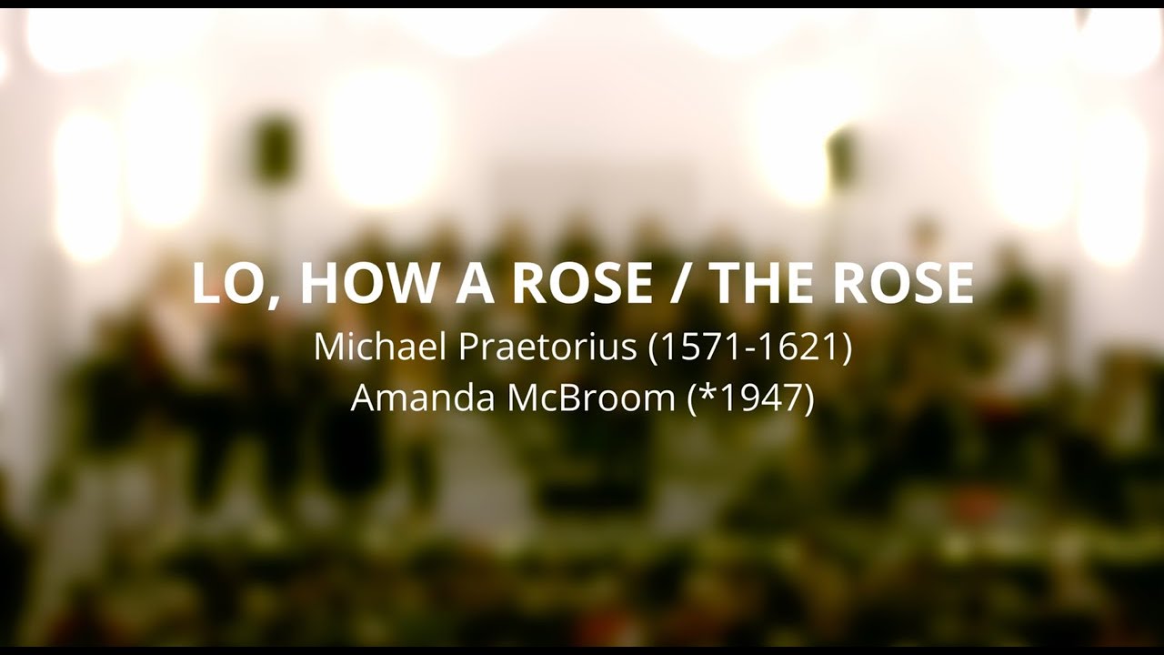 LO, HOW A ROSE / THE ROSE  Recorder Cover - BON