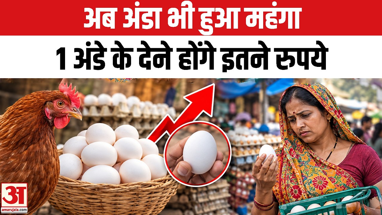 Eggs Price Hike | Eggs Ethanol Connection: After Sugar, Egg Prices Set to Rise | Eggs Price Today