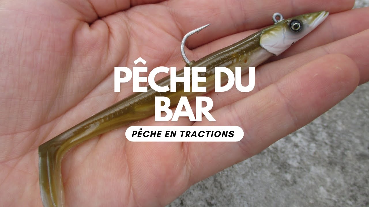 COMMENT PÊCHER LE BAR FACILEMENT ? / PARTIE 3 : TRACTIONS