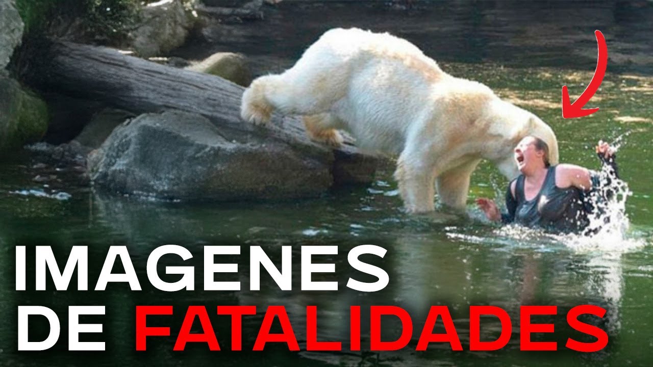 IMAGENES tomadas ANTES de ACCIDENTES FATALES
