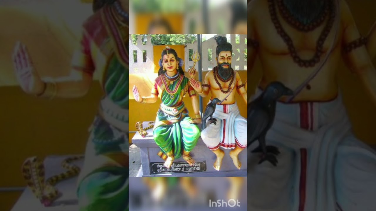 காகபுஜண்ட சித்தர் ரகசியம் #shortsfeed #shorts