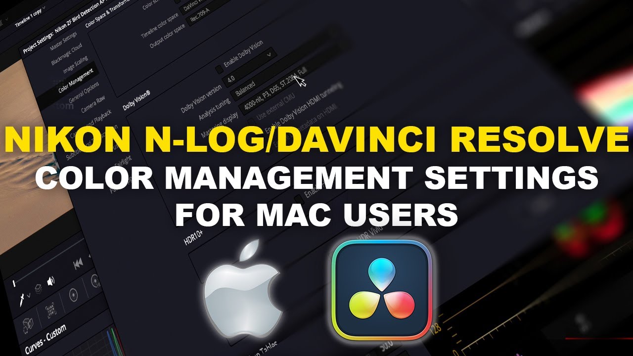 Nikon N-Log | Davinci Resolve | Color Settings For Mac Users