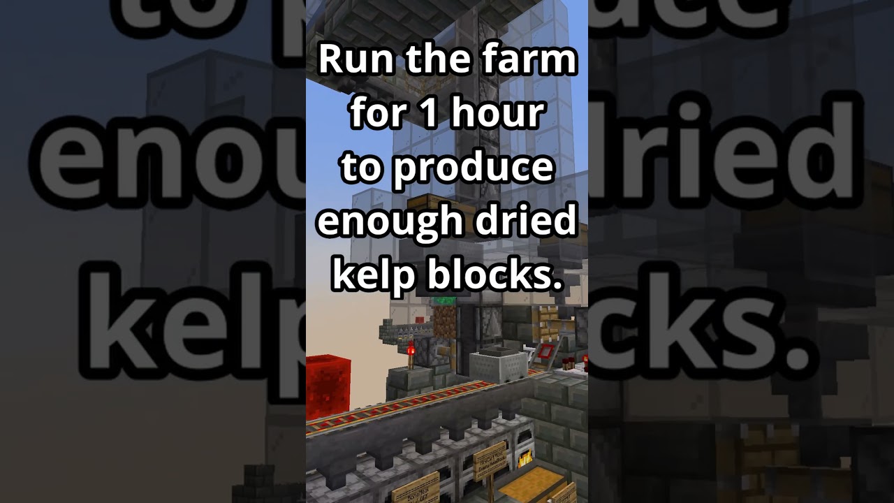 🌿 Ultimate Kelp Farm Tutorial for Minecraft 1.21 - Build & Optimize!