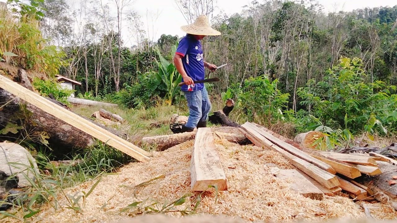 Belah  kayu saiz 2x4 dgn chainsaw MS381