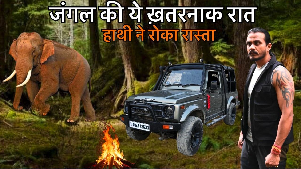 Night in Jungle | Jungle ki Khatarnakh Raat | Jungle Night Safari