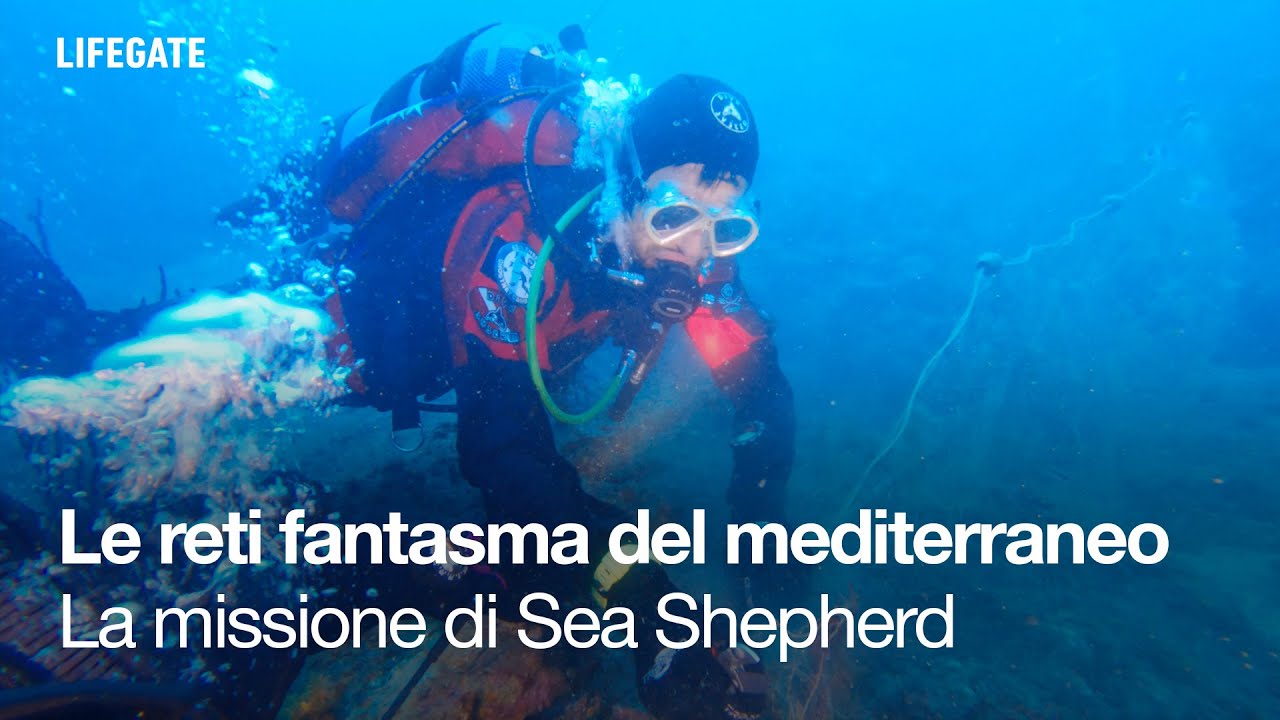In missione con Sea Shepherd a caccia di reti fantasma