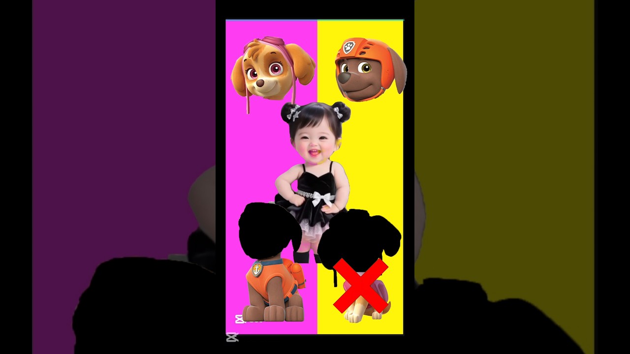 Wrong Eyes👀 PAW Patrol Chase Is On the Case Rescues!/ Skye & Marshall | DAME TU COSITA Wrong Heads