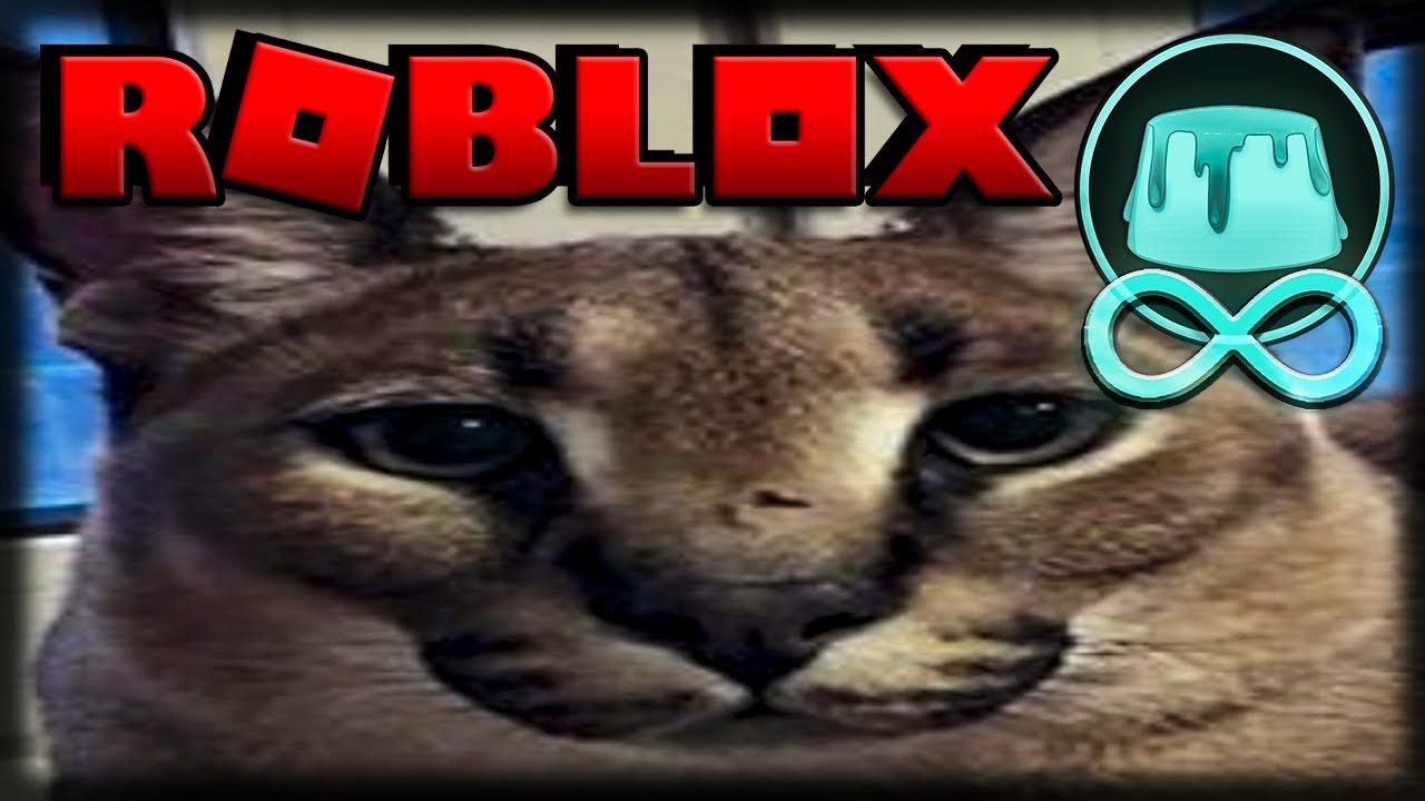 ZERANDO Raise a Floppa do ROBLOX e Estourando Balões!!