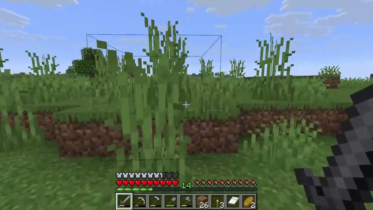 Minecraft #013
