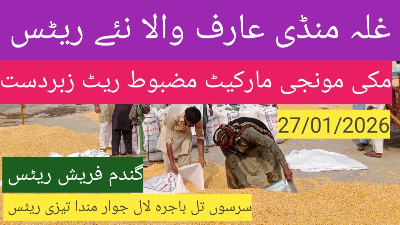 Makki rate today| گندم کا ریٹ 2026| munji price today| sarso till bajra| ghalla mandi rate today