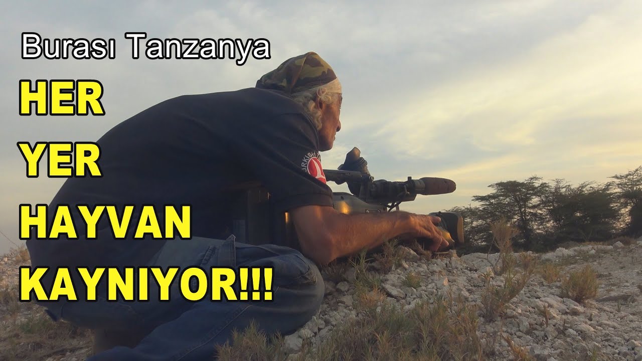 Her yer hayvan kaynıyor/BURASI TANZANYA