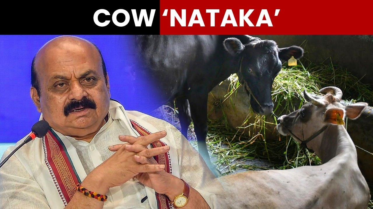 Karnataka| State BJP Wing Launches Protest Against Move To Withdraw Anti-Cow Slaughter Act | Newsmo