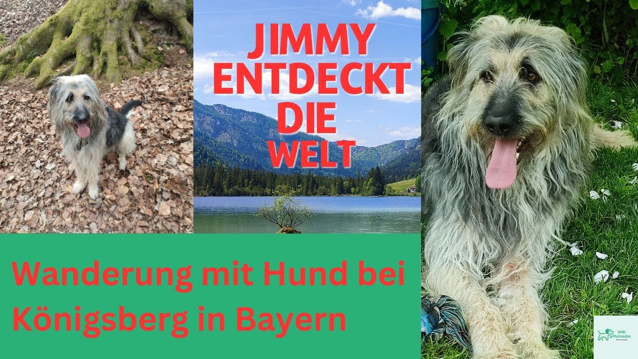 Wanderung bei Königsberg in Bayern